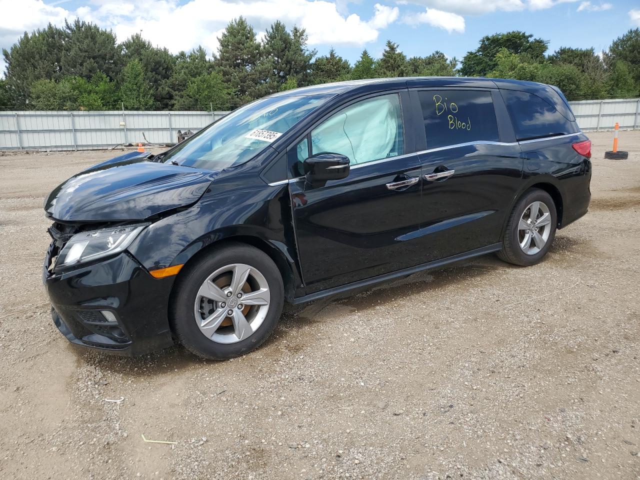 2019 Honda Odyssey ex EX