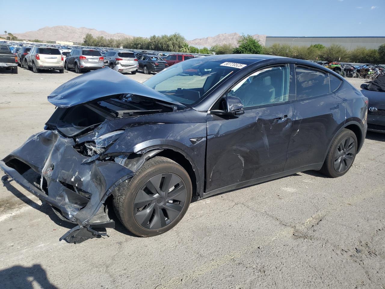 2025 Tesla Model y
