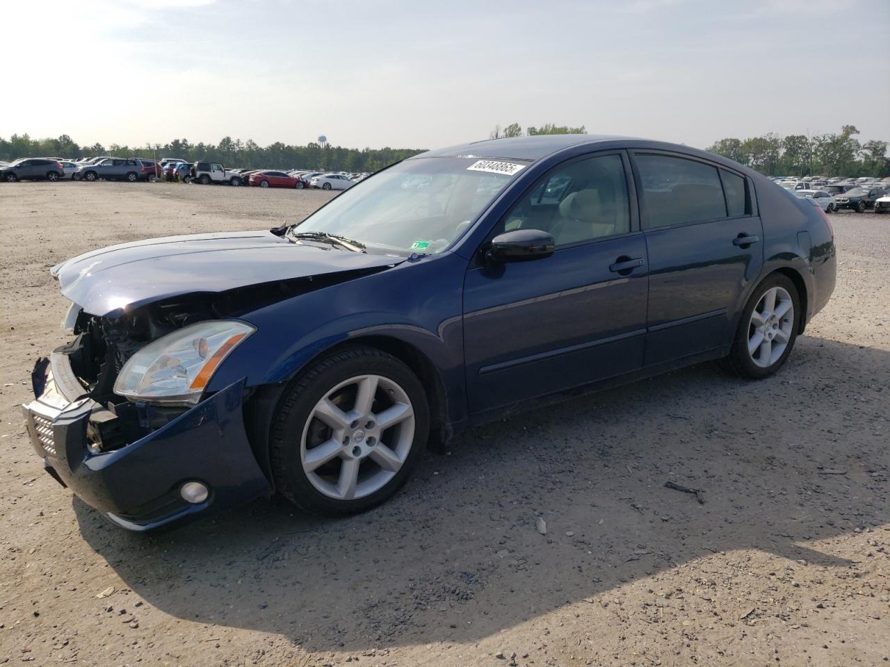 2005 Nissan Maxima se SE