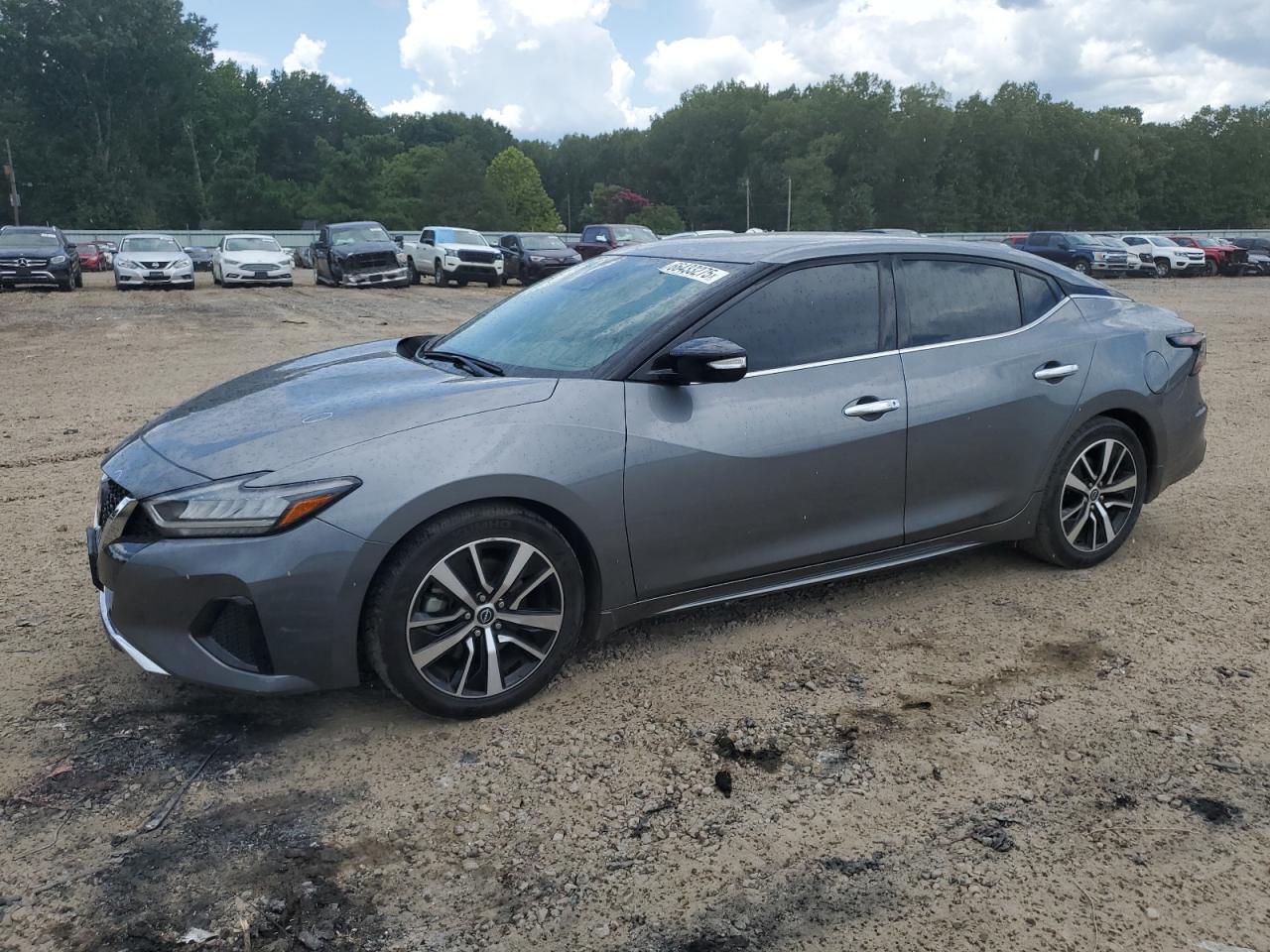 2023 Nissan Maxima sv SV