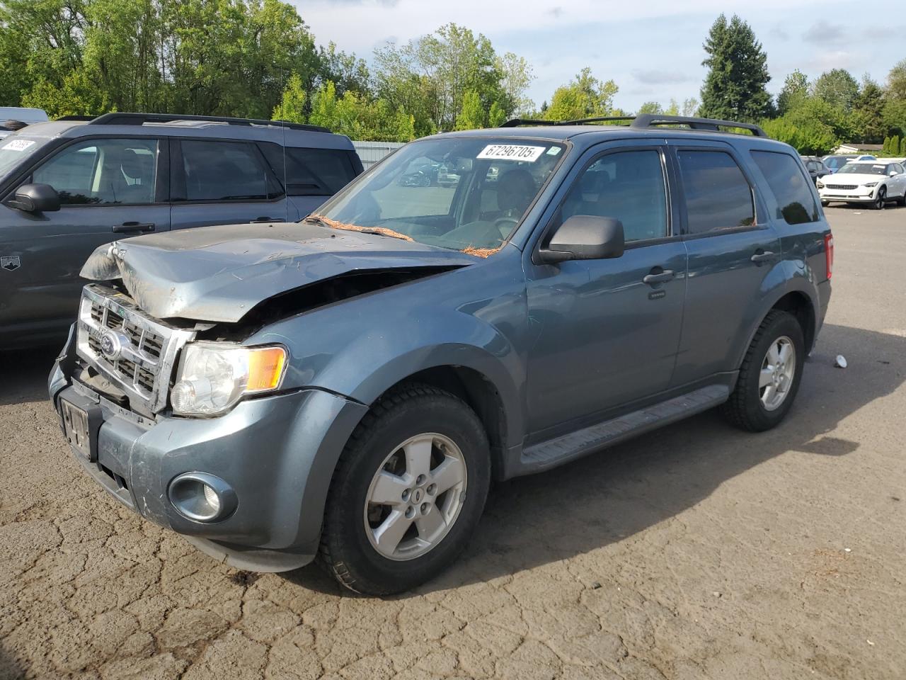 2012 Ford Escape xlt XLT
