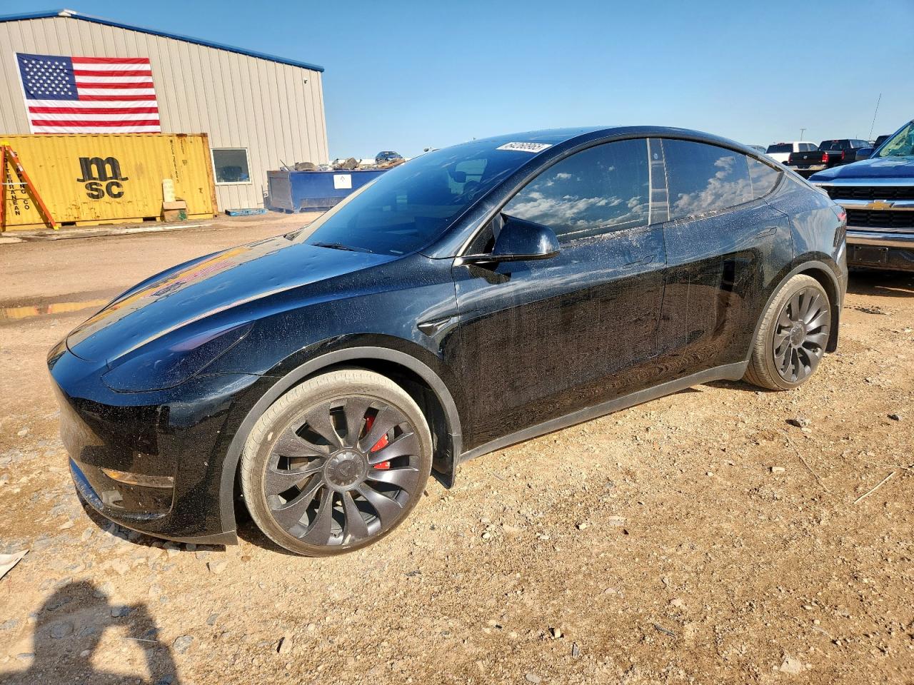 2023 Tesla Model y