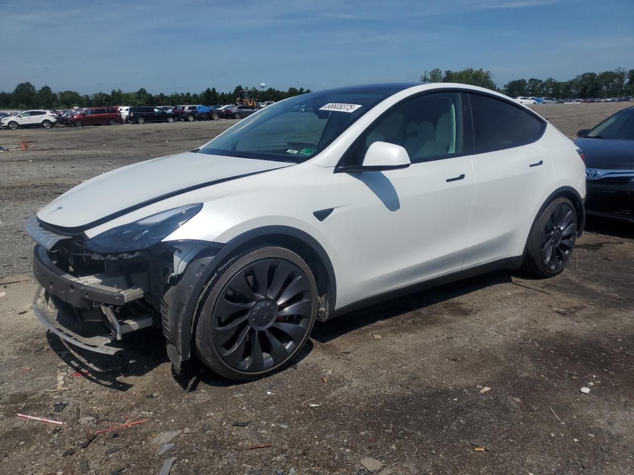 2024 Tesla Model y