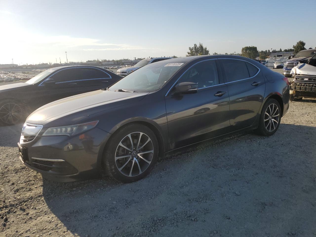 2016 Acura Tlx tech TECH