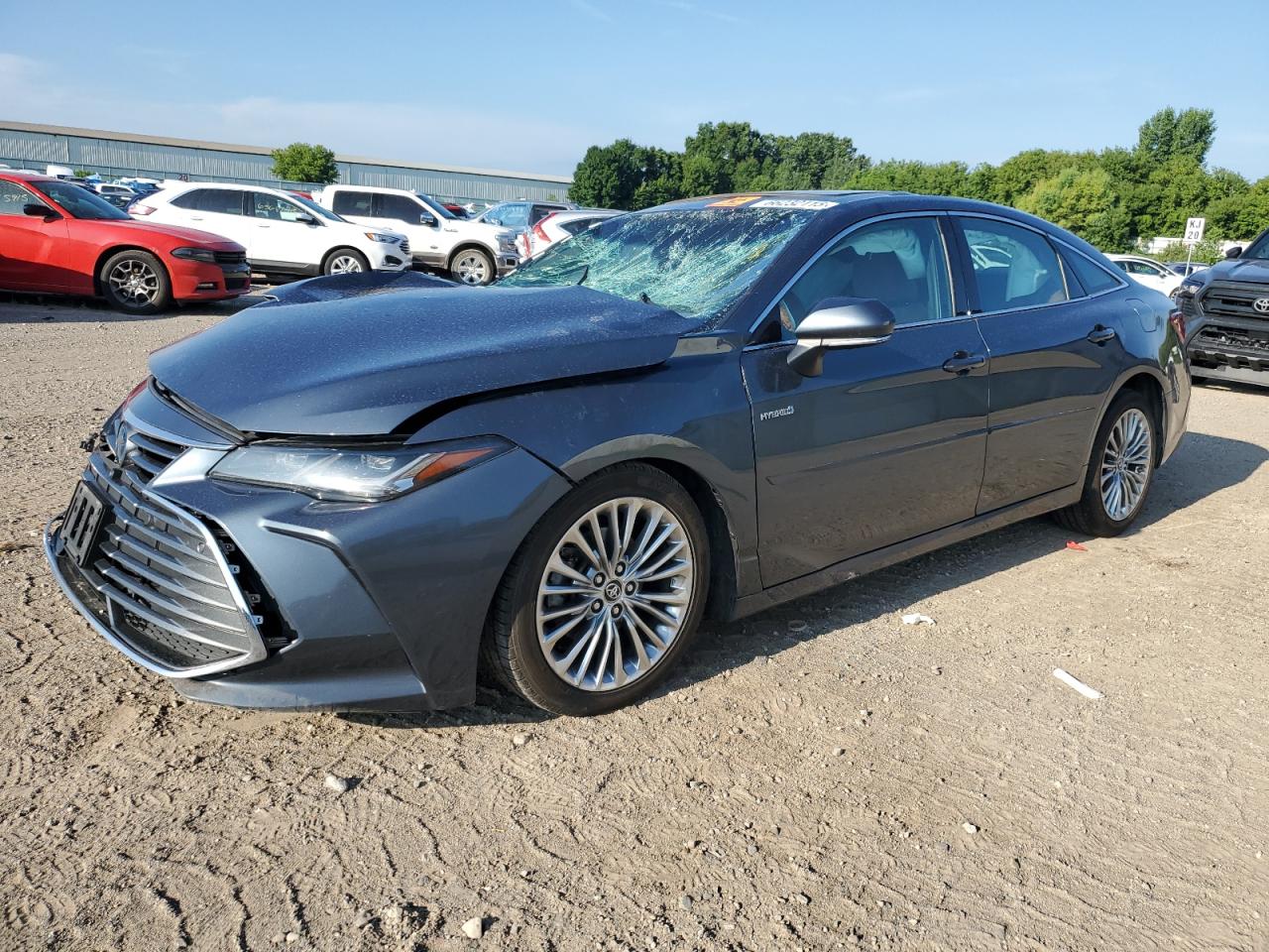 2019 Toyota Avalon xle XLE