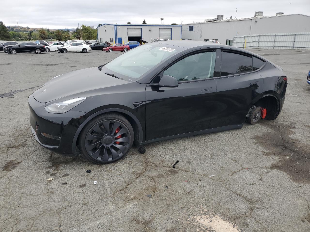 2024 Tesla Model y