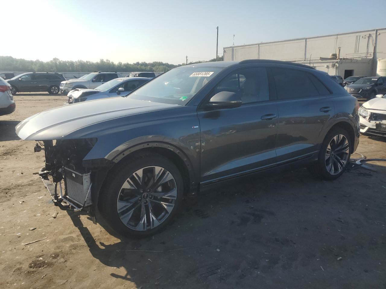 2025 Audi Q8