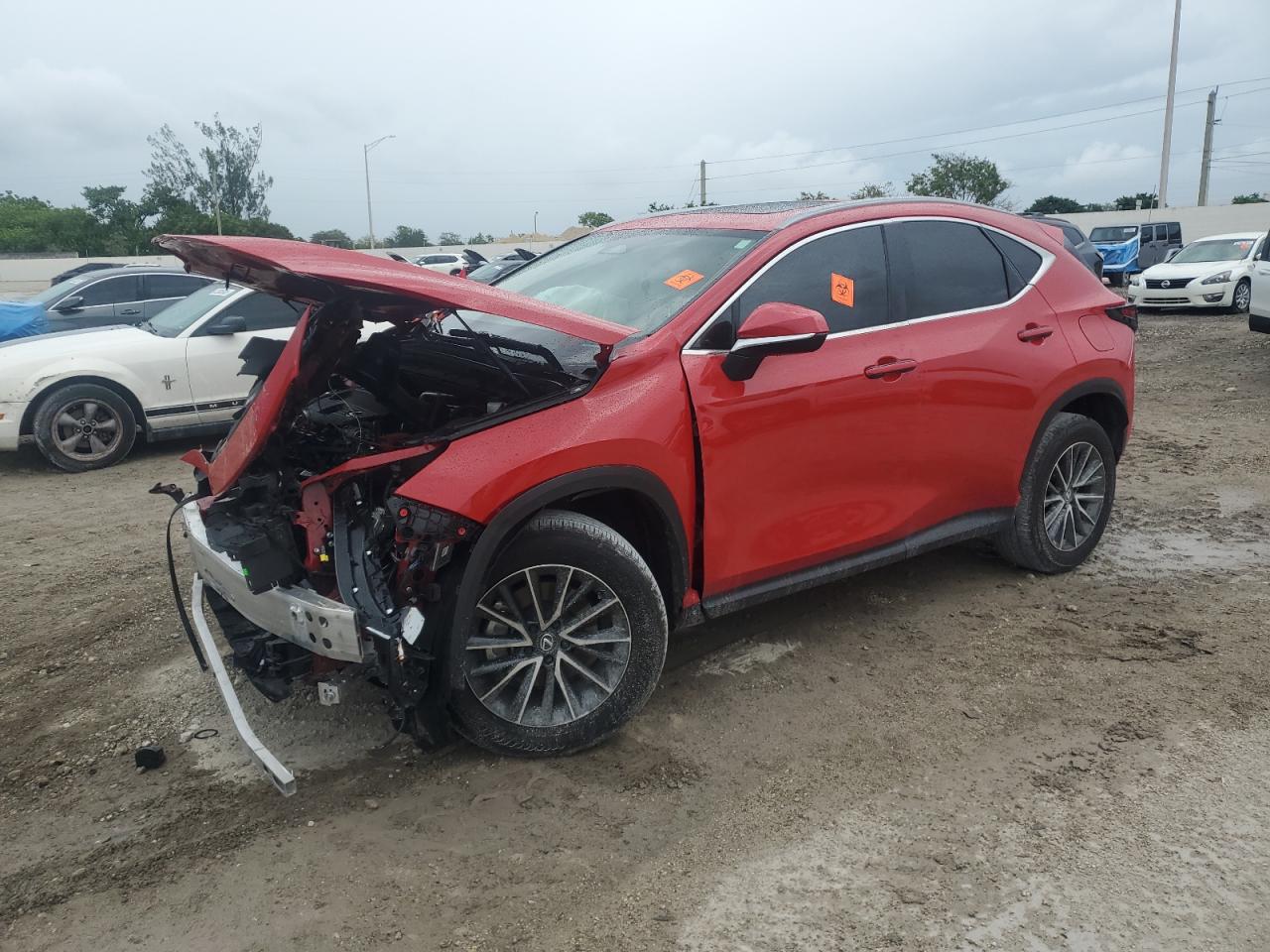 2025 Lexus NX250