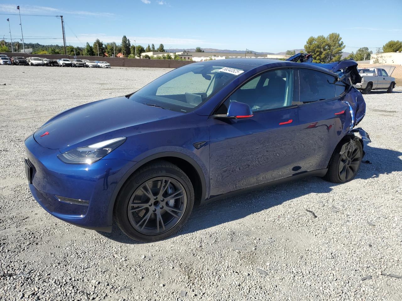 2025 Tesla Model y