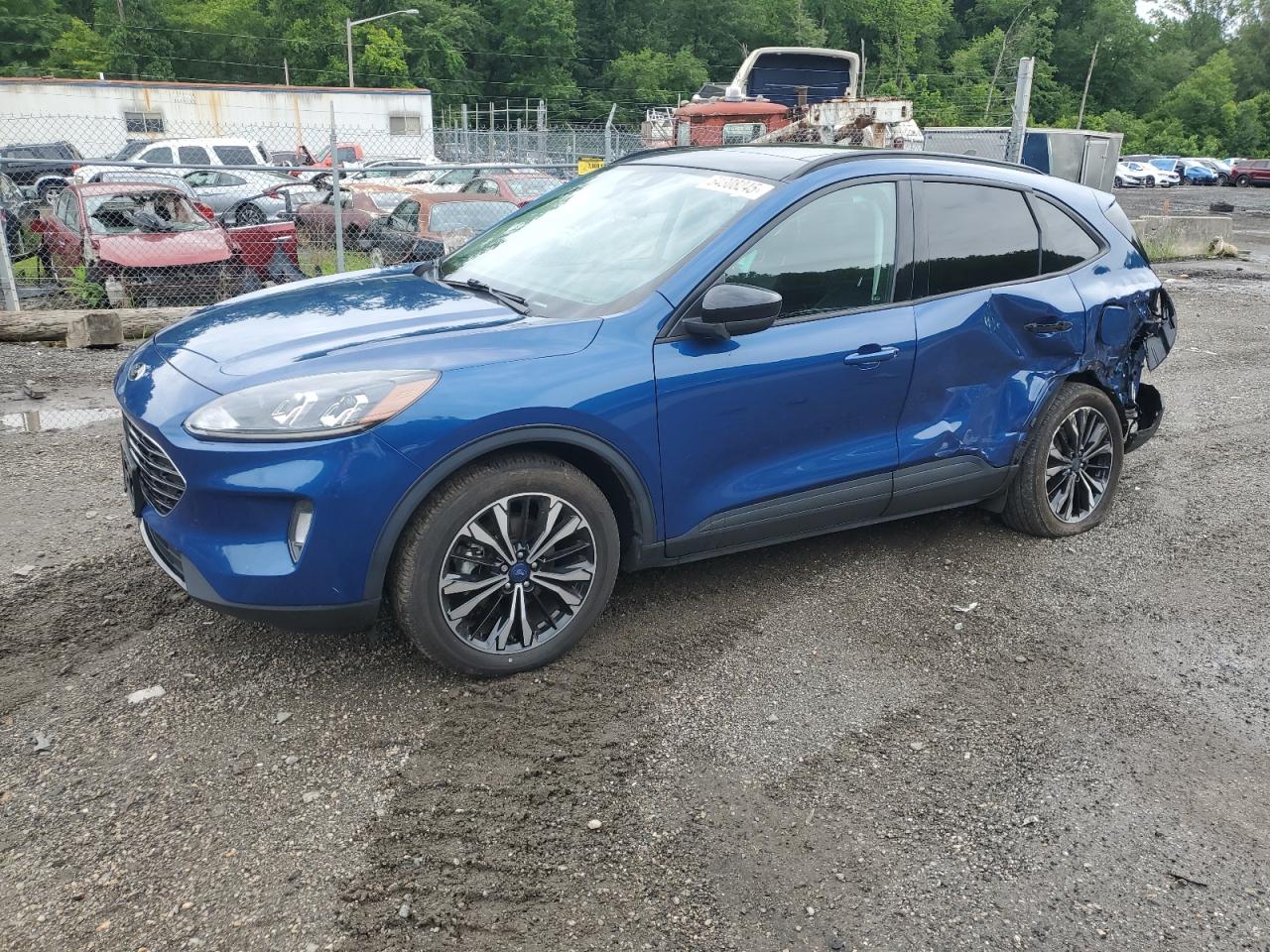 2022 Ford Escape sel SEL