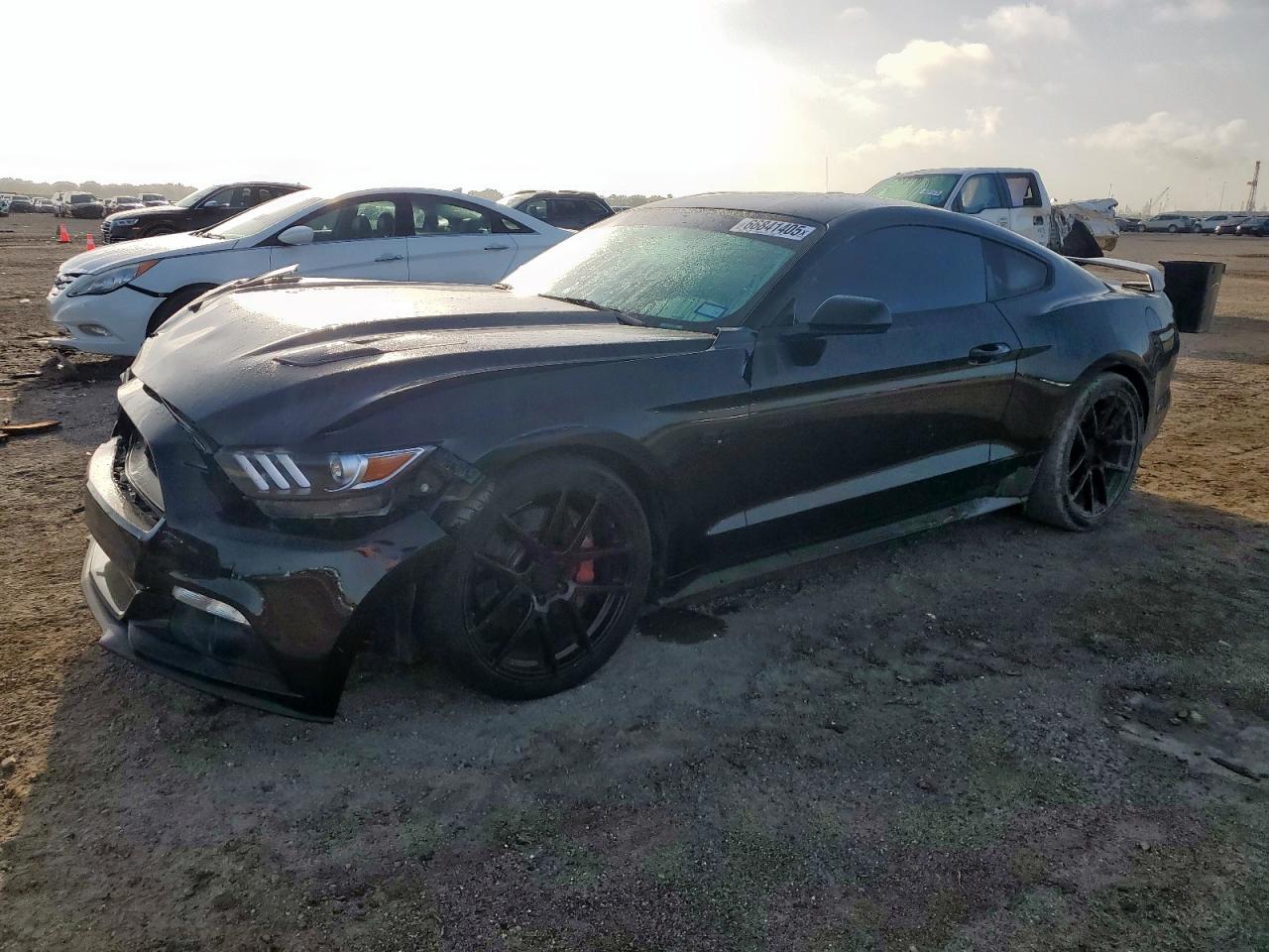 2017 Ford Mustang gt GT