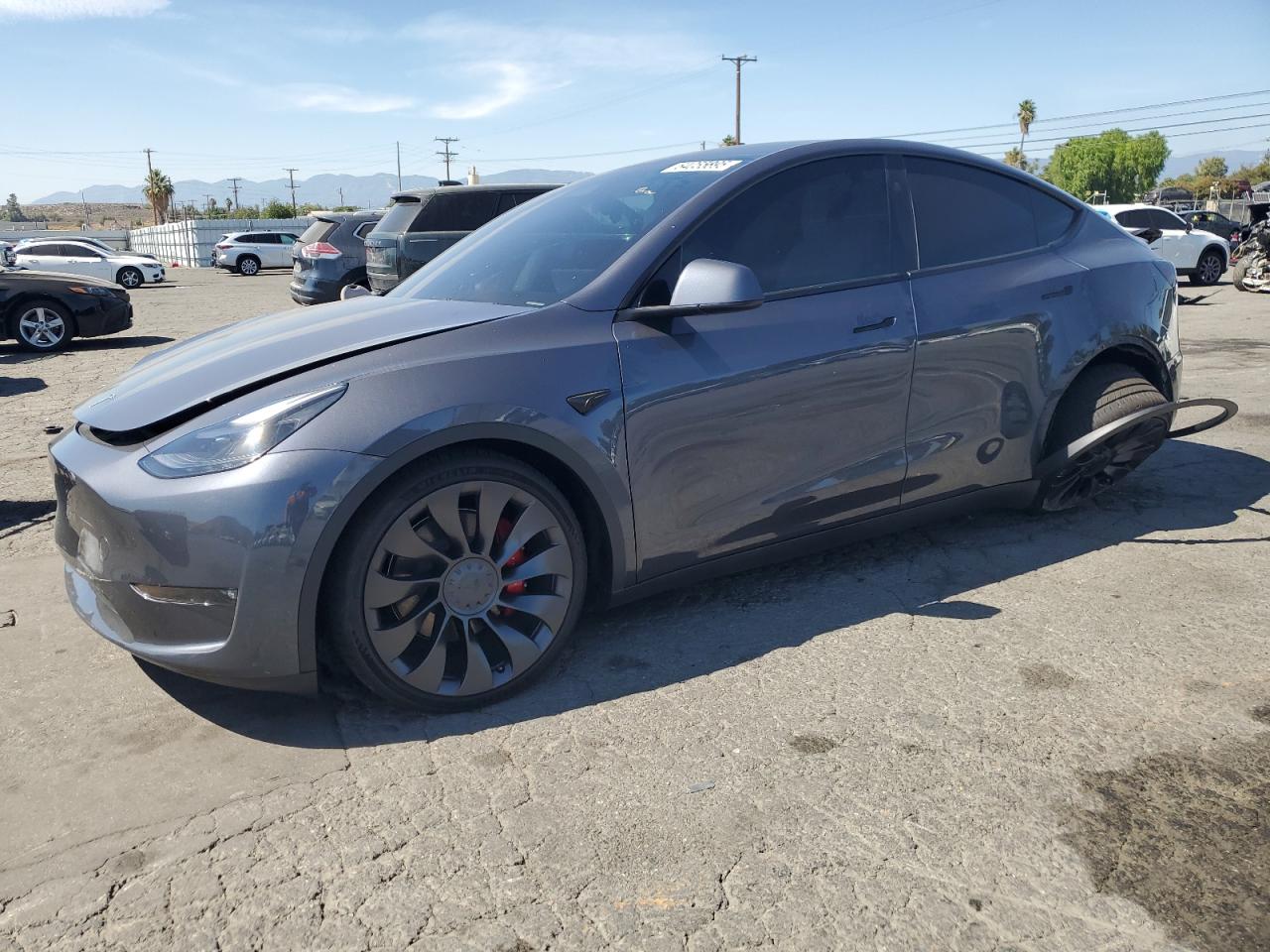 2023 Tesla Model y
