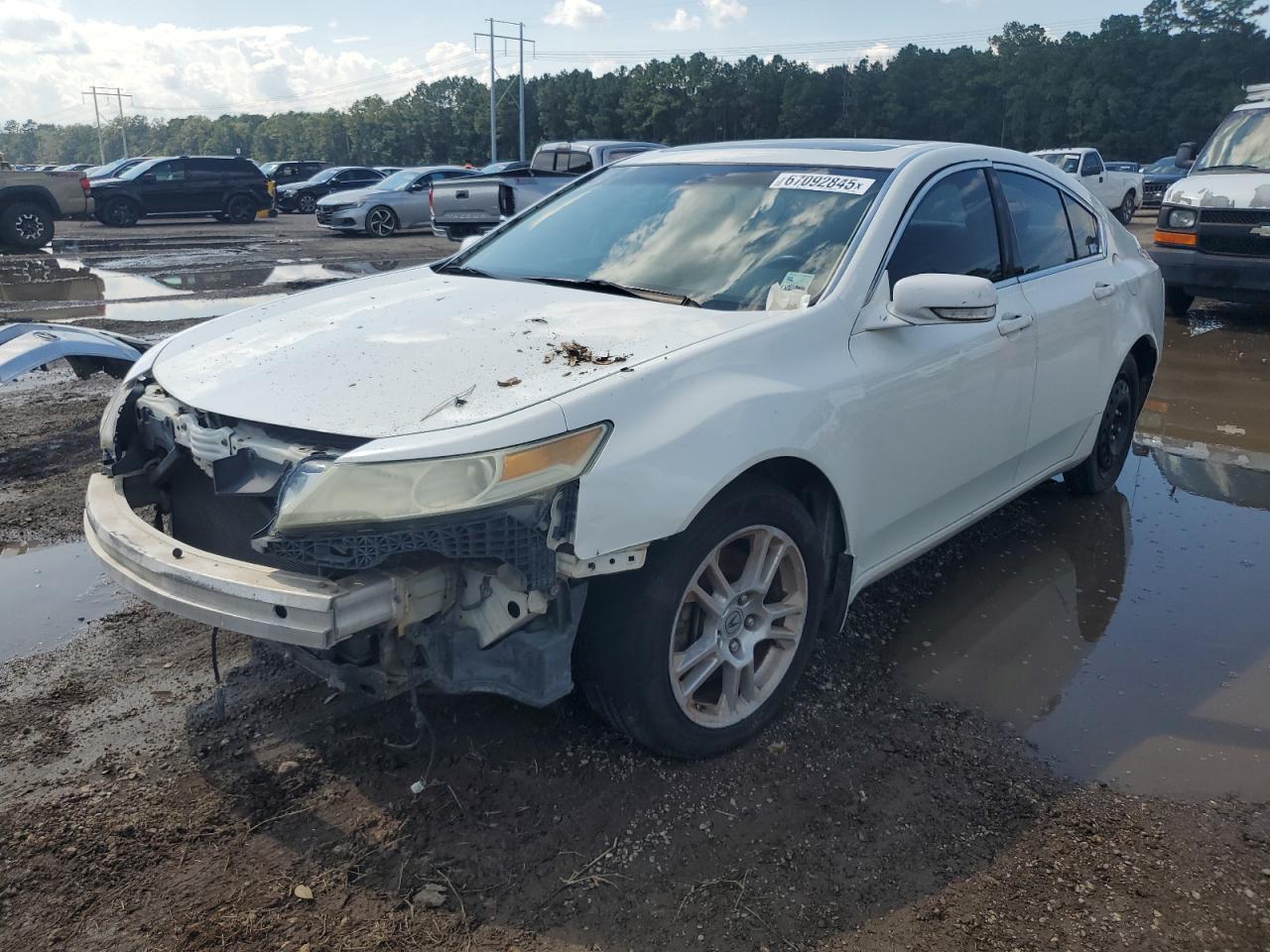 2009 Acura Tl