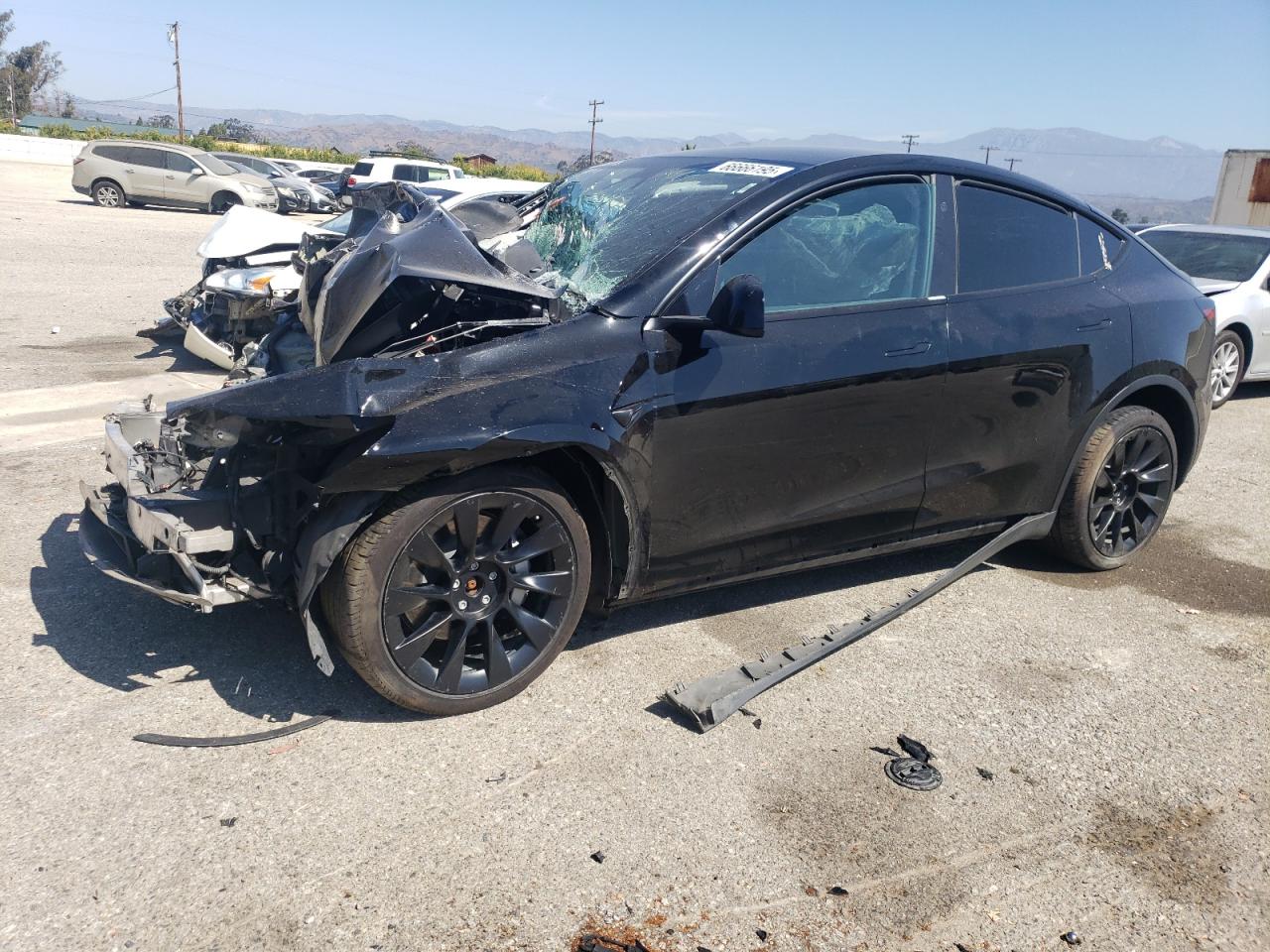 2024 Tesla Model y