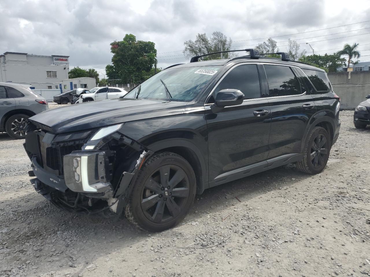 Hyundai Palisade x