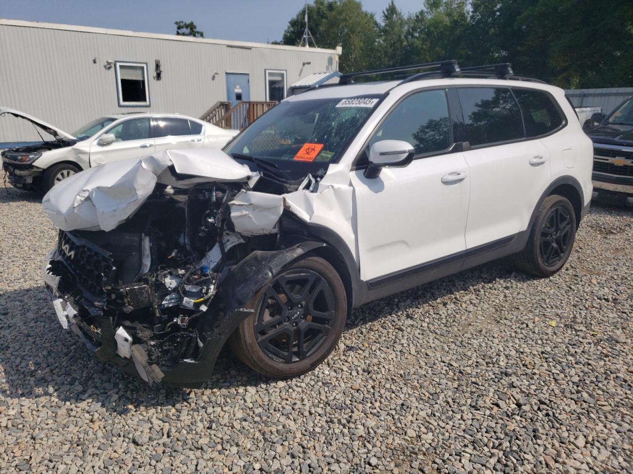2024 Kia Telluride sx SX