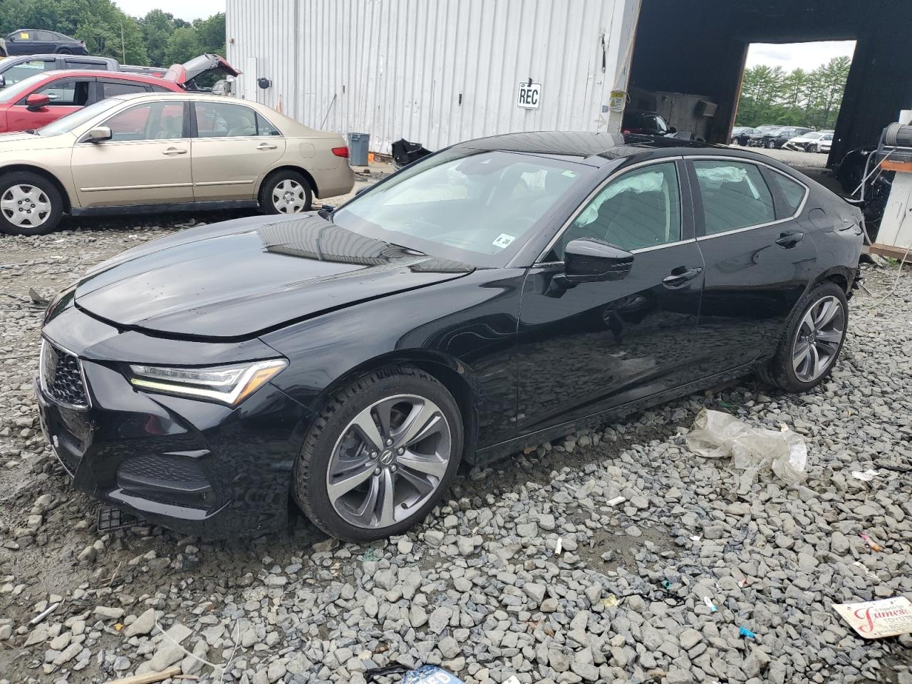 2023 Acura Tlx advanc ADVANCE