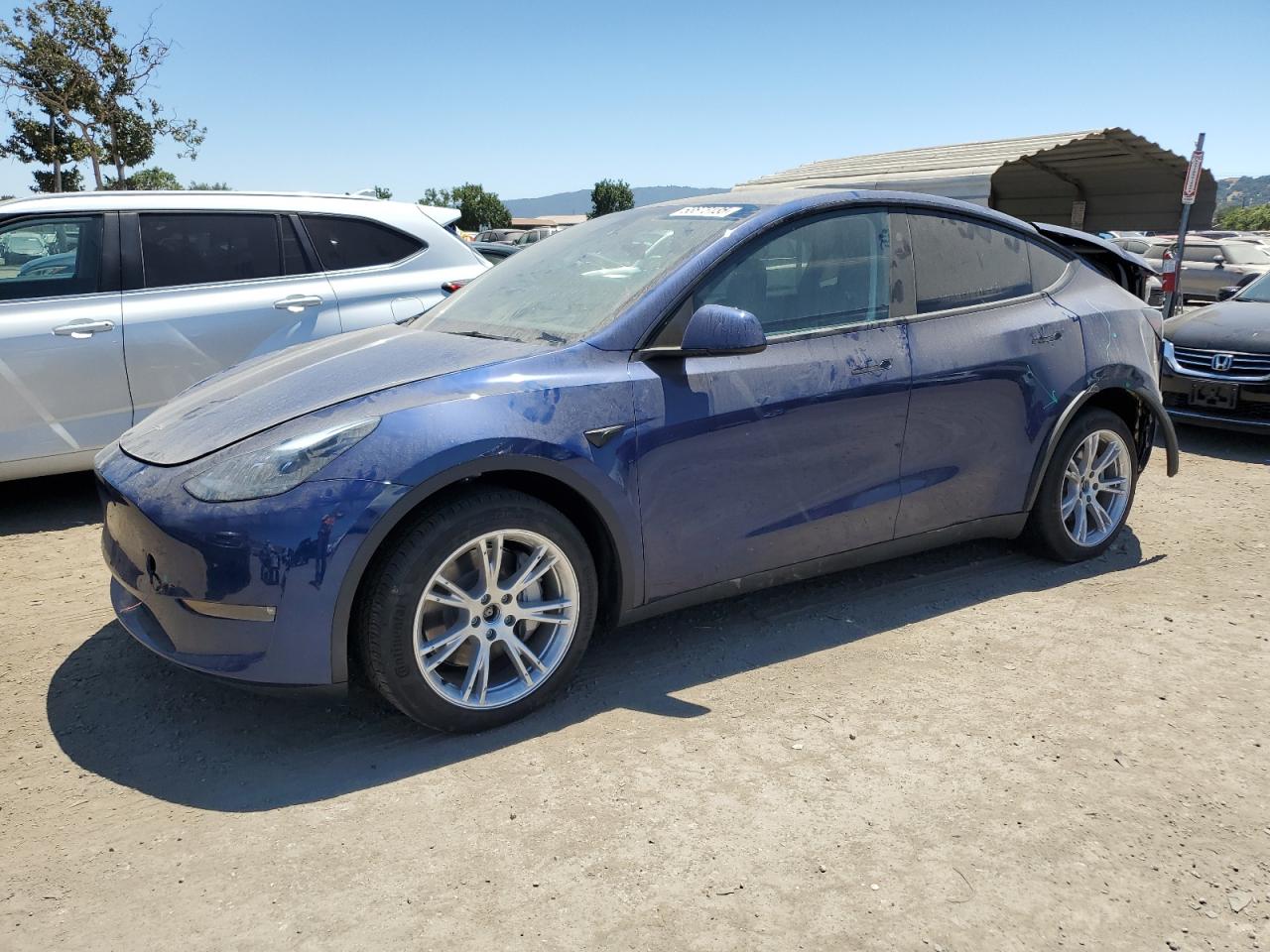 2024 Tesla Model y