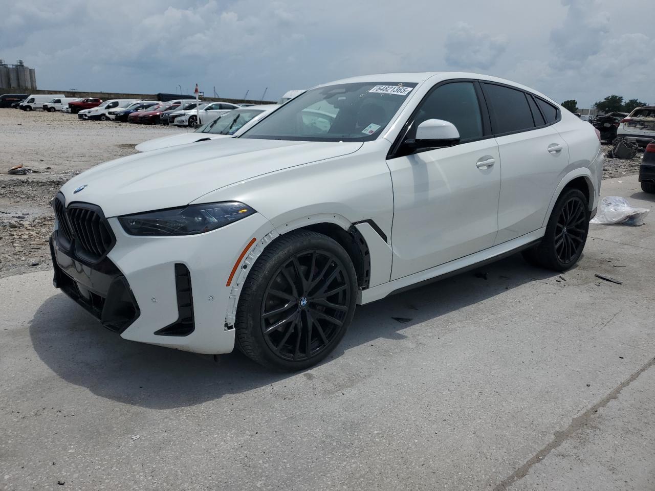 2024 BMW X6