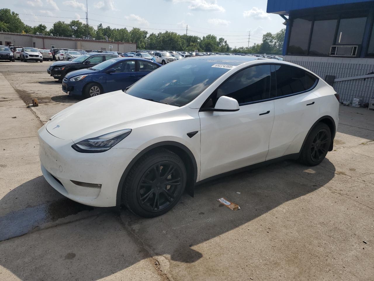 2023 Tesla Model y