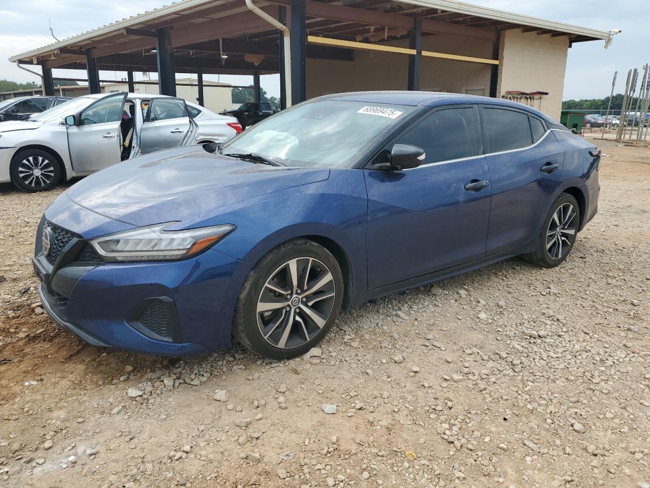 2022 Nissan Maxima sv SV