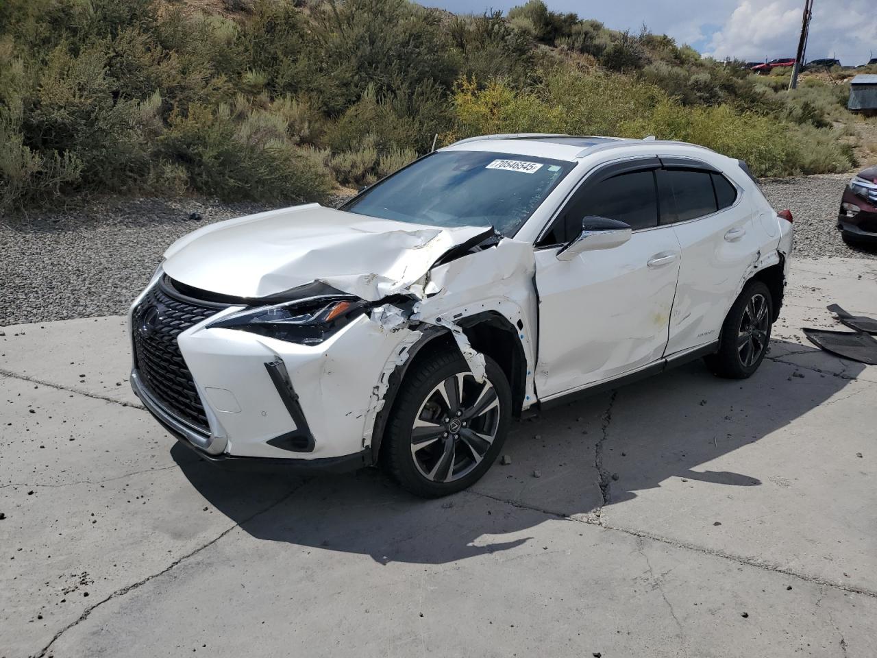 2021 Lexus Ux 250h 250H