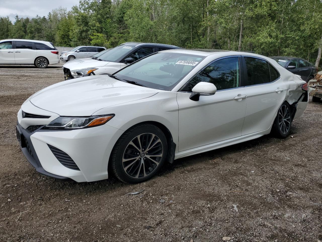 2019 Toyota Camry l L