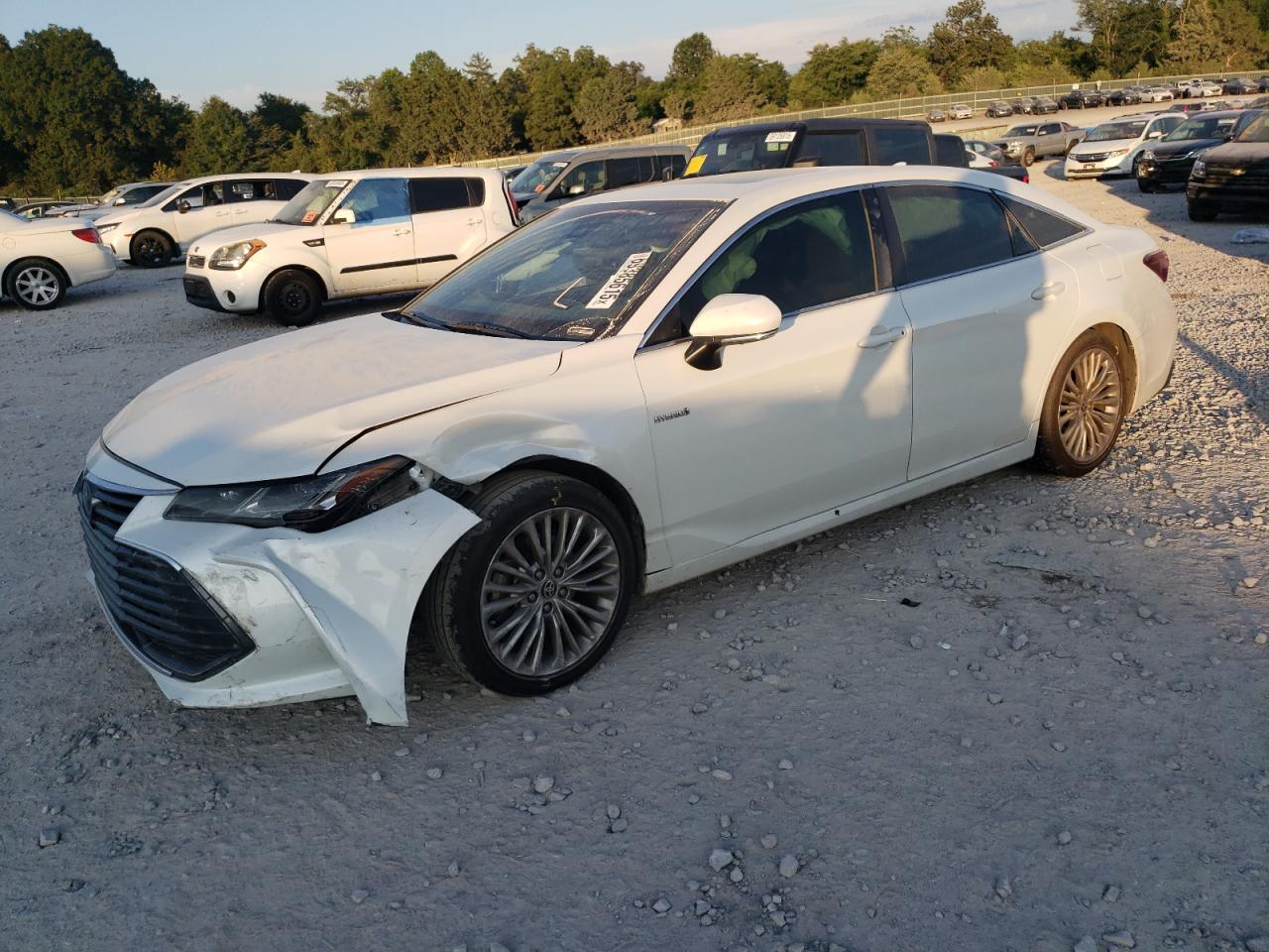 2020 Toyota Avalon limited LIMITED