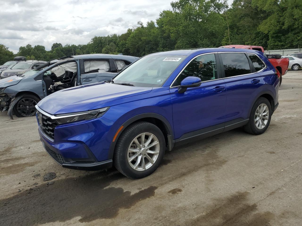 2024 Honda Cr-v ex EX