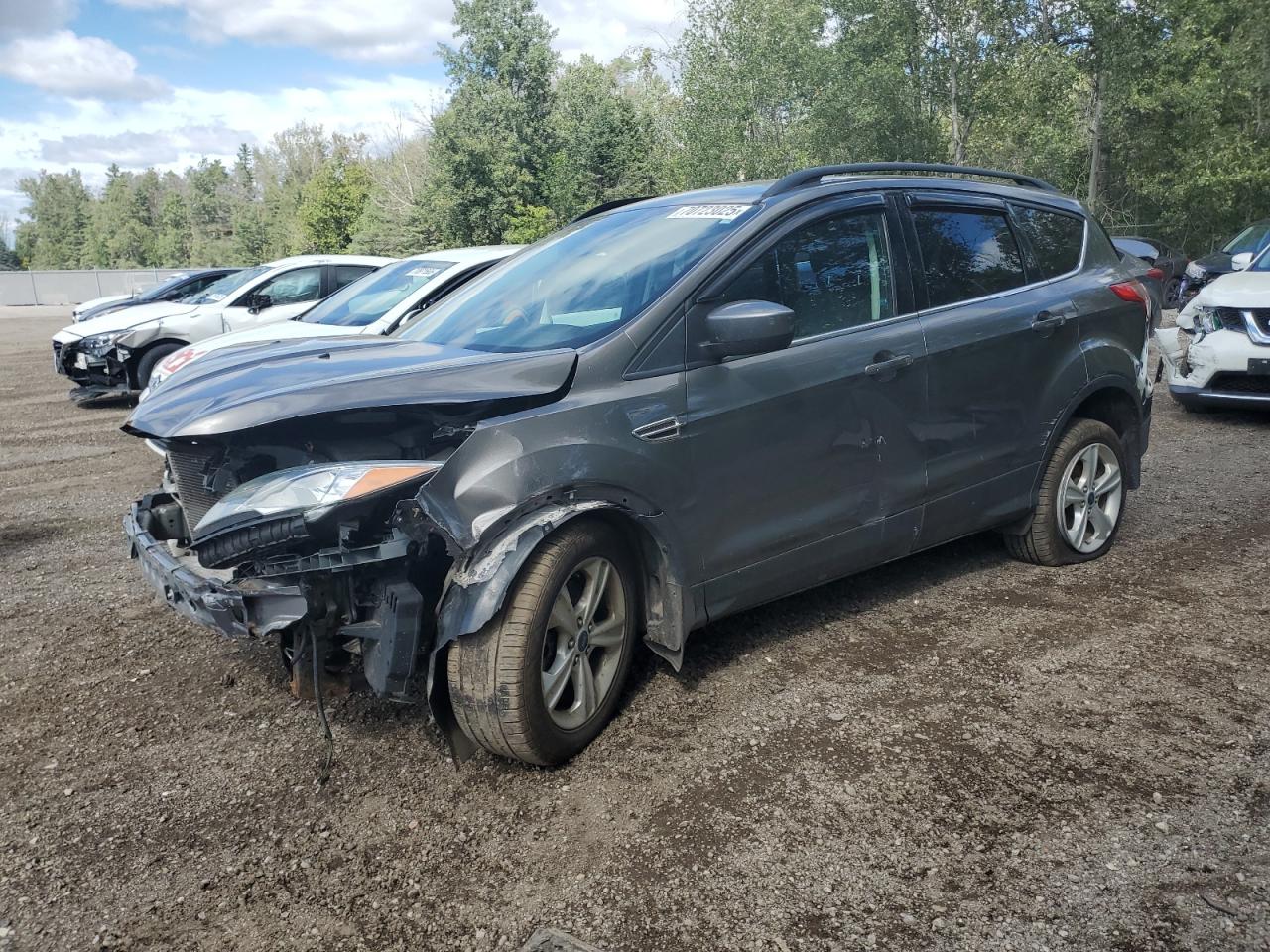 2014 Ford Escape se SE