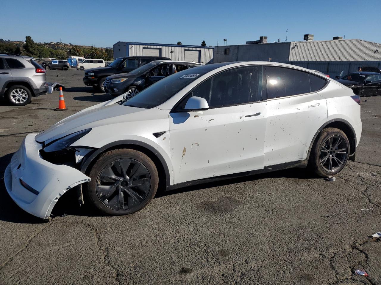 2025 Tesla Model y