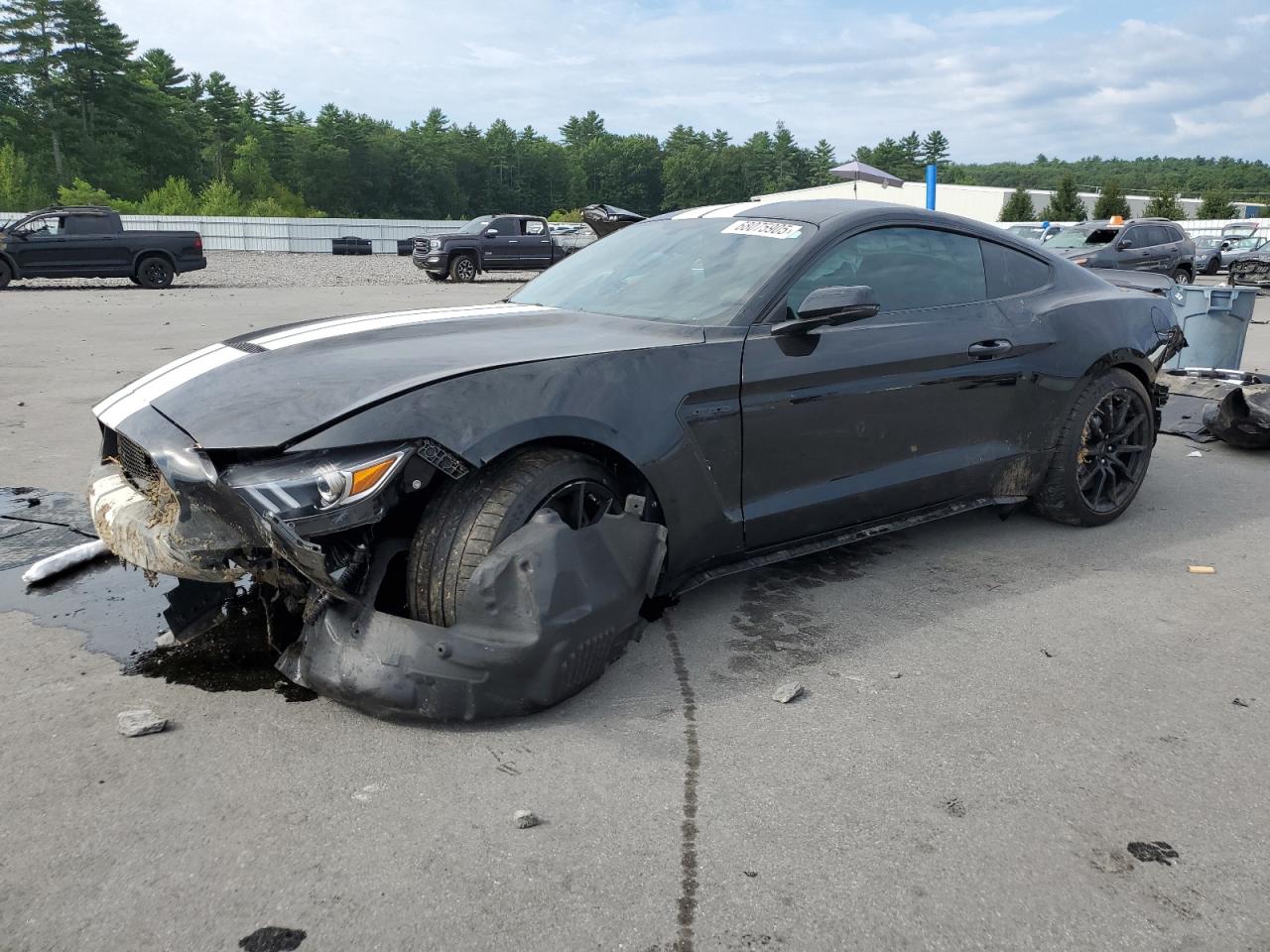 Ford Mustang shelby gt350