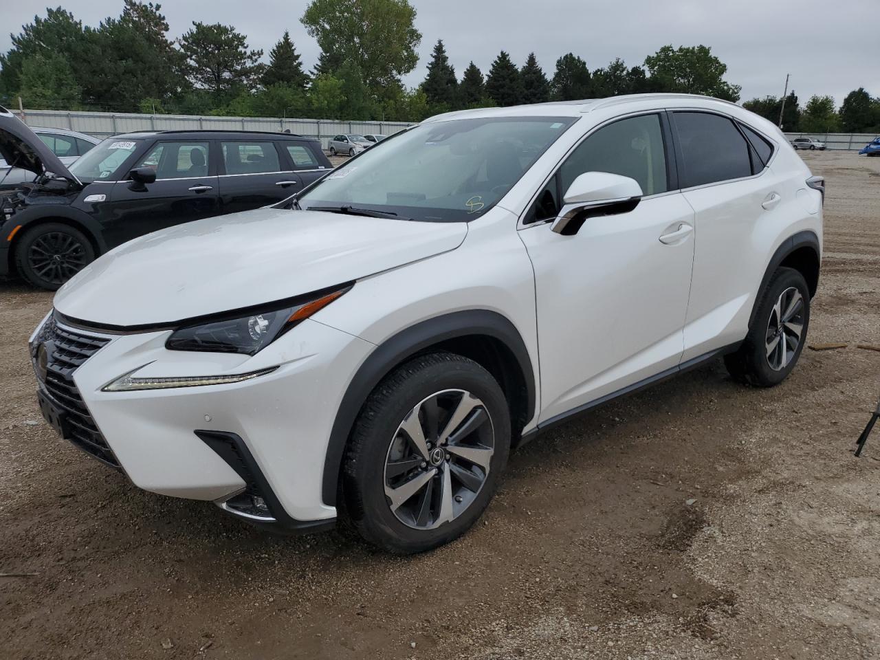 2021 Lexus Nx 300 bas 300 BASE