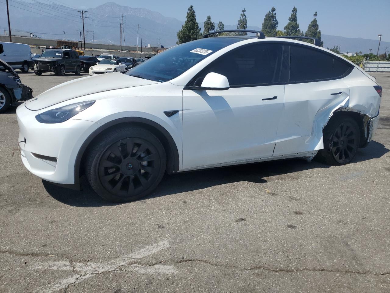 Tesla Model y