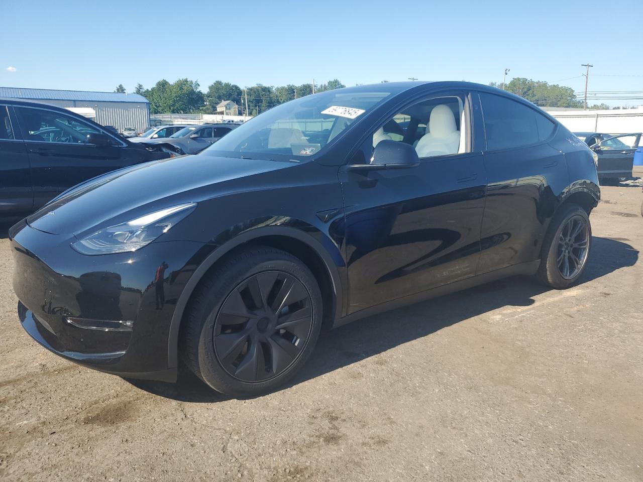 2024 Tesla Model y