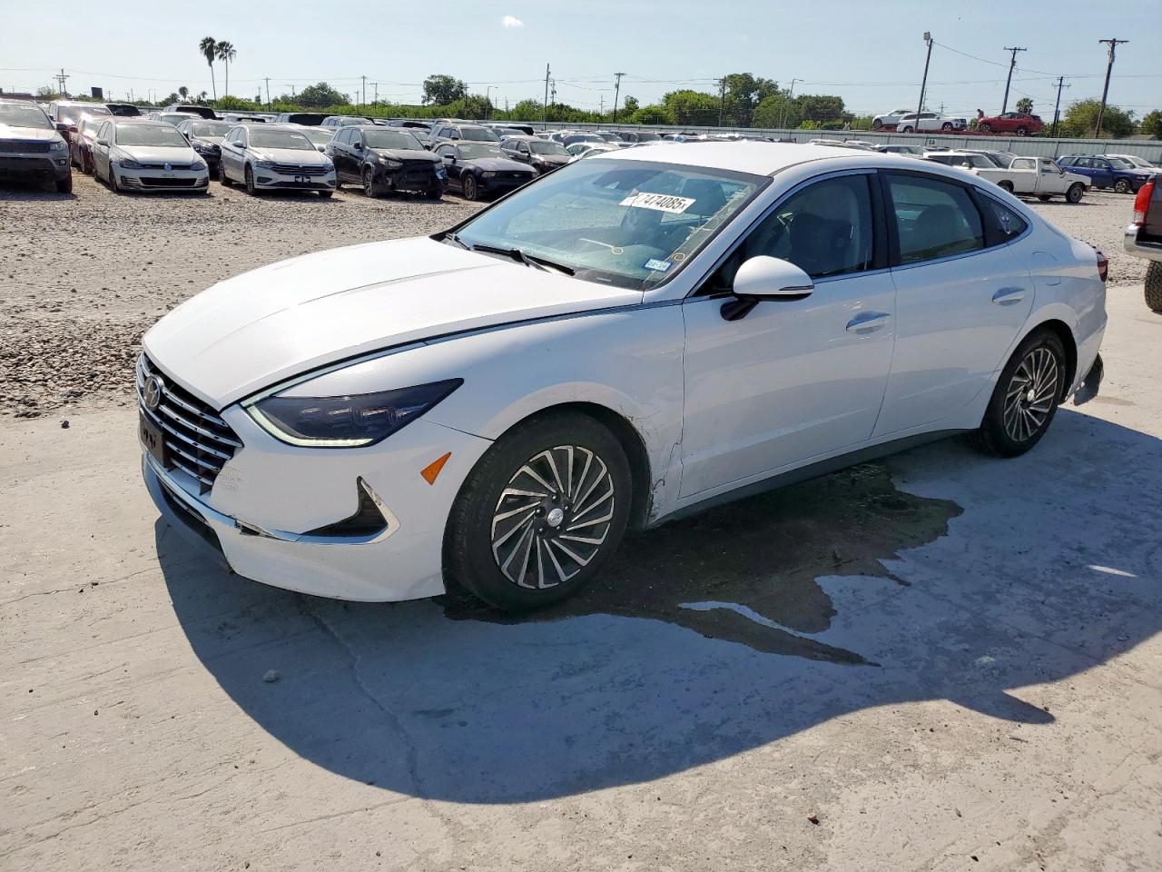 2023 Hyundai Sonata hyb HYBRID
