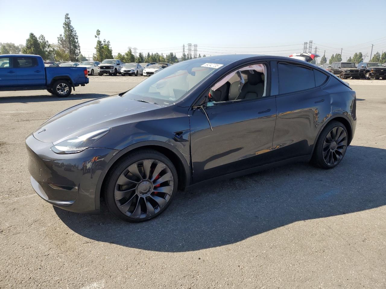 2025 Tesla Model y
