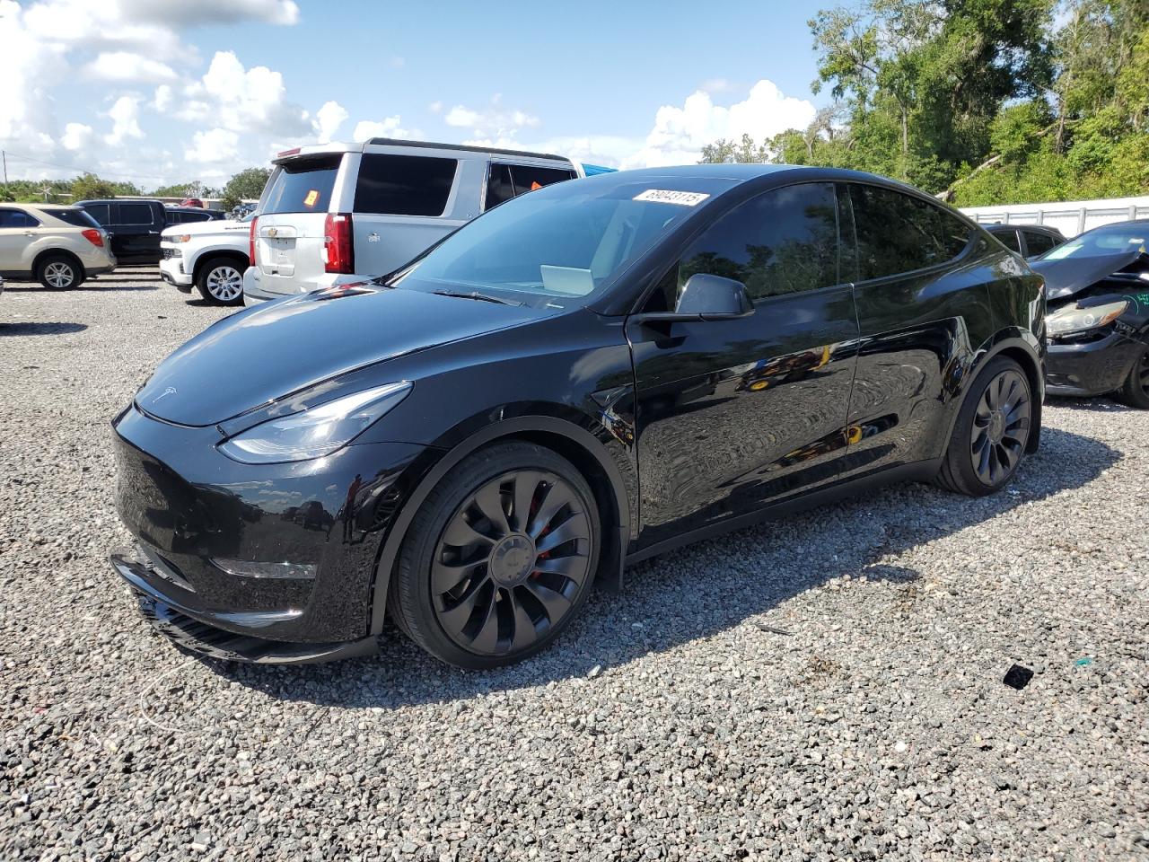 2024 Tesla Model y