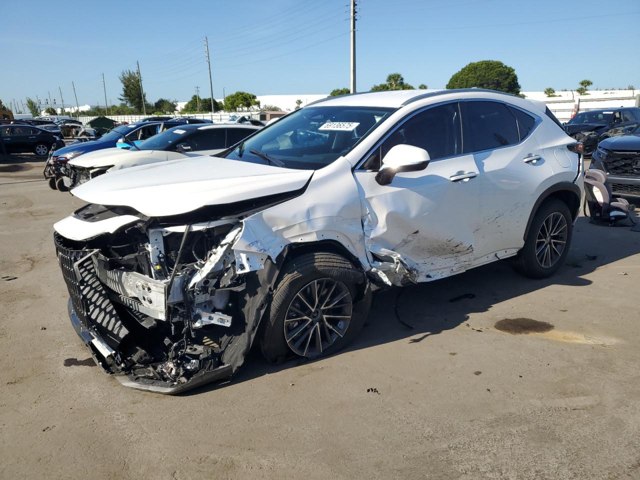 2025 Lexus Nx 250 bas