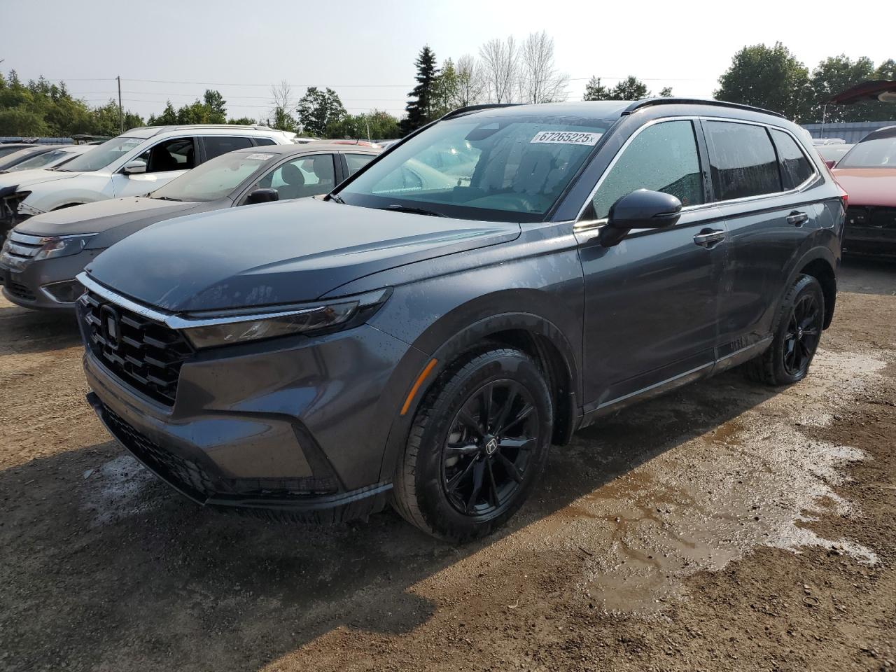 2023 Honda Cr-v Sport