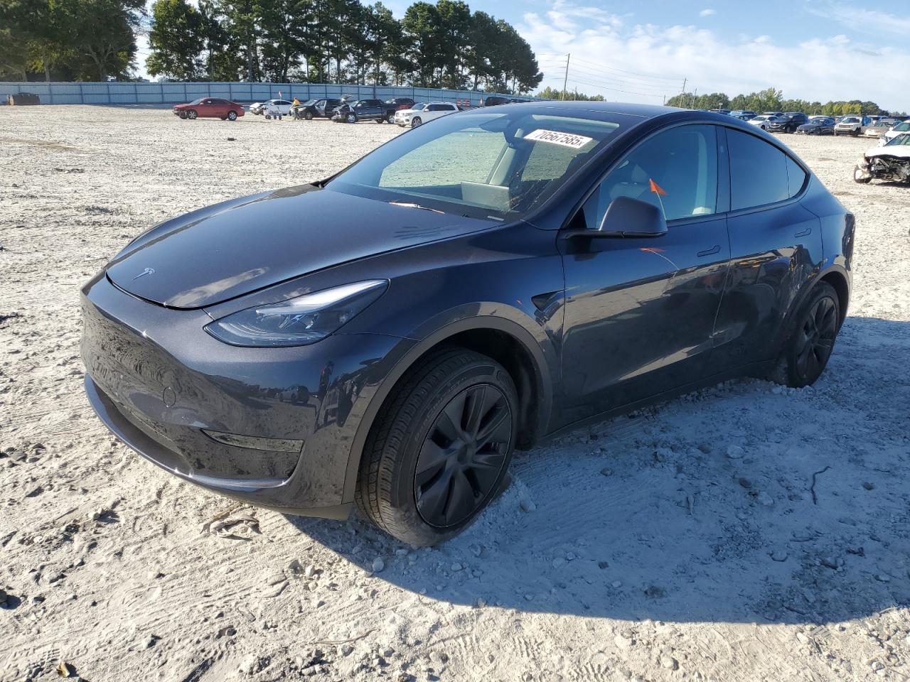 2024 Tesla Model y