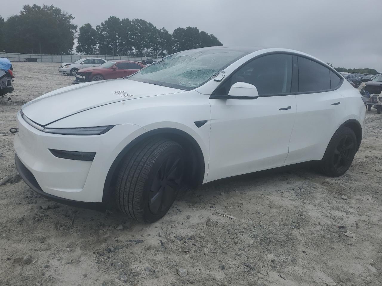 2026 Tesla Model y