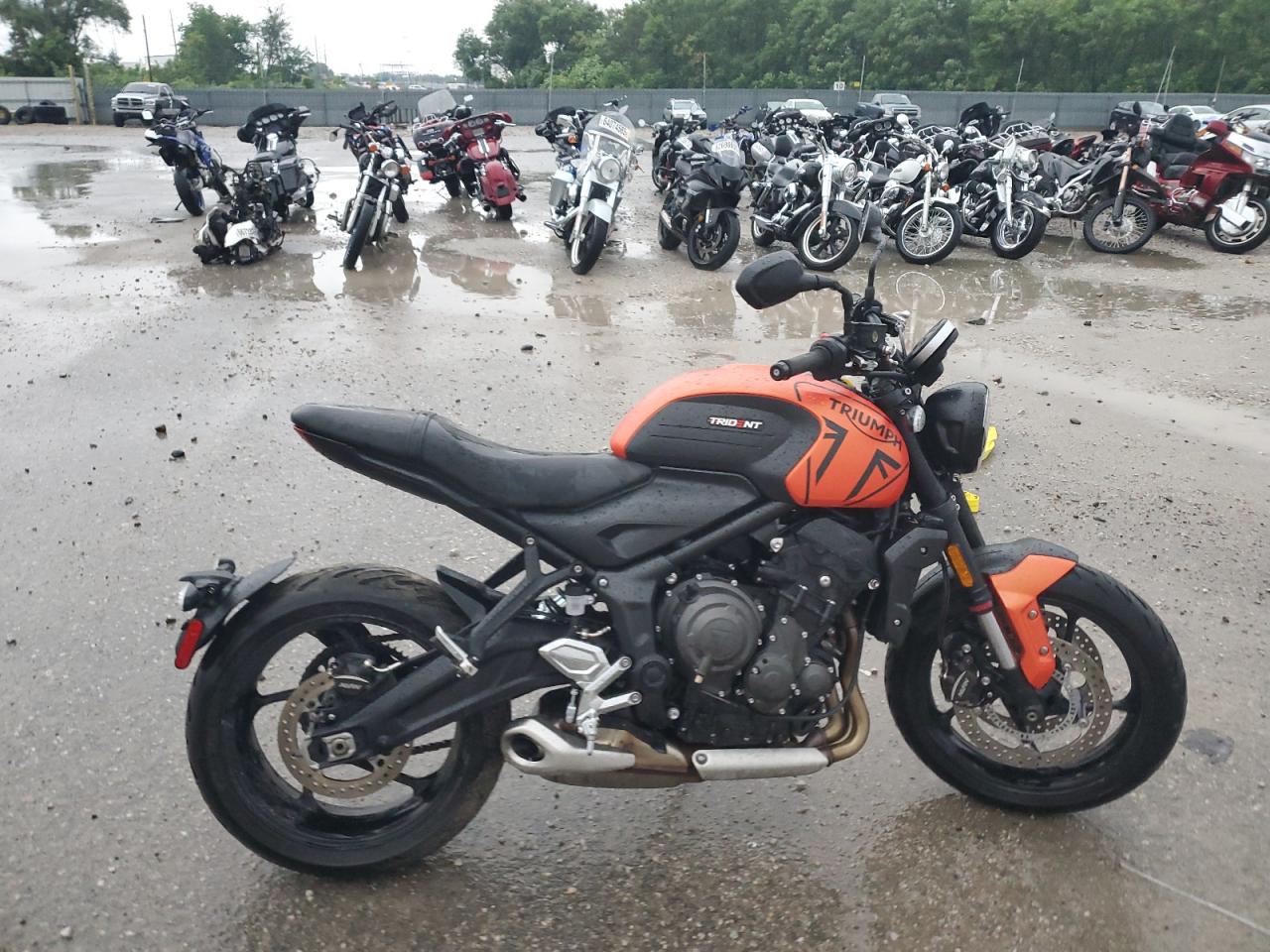 2023 Triumph motorcycle Trident 660
