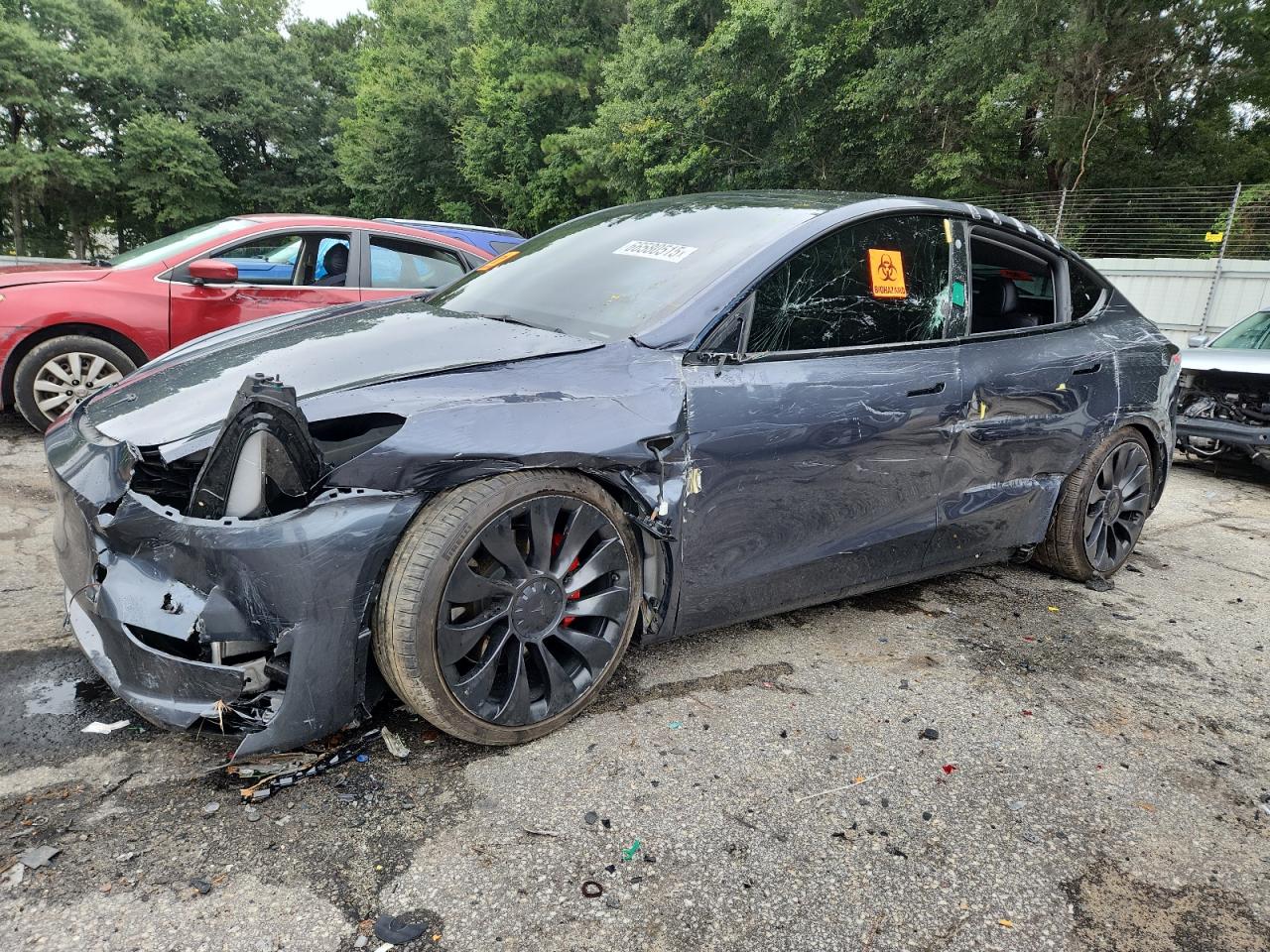 2023 Tesla Model y