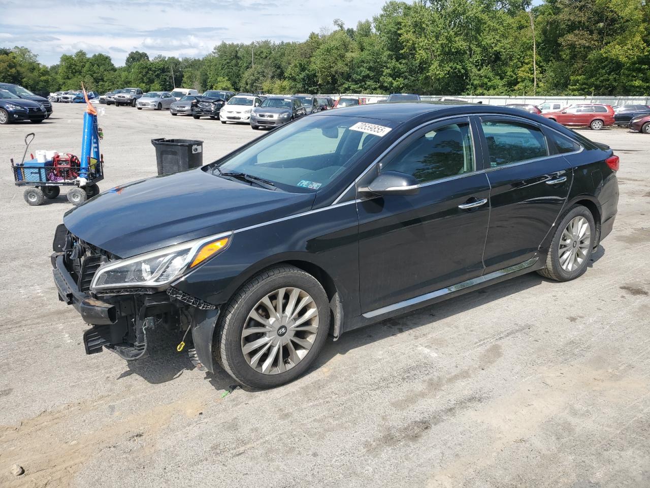 2015 Hyundai Sonata spo SPORT
