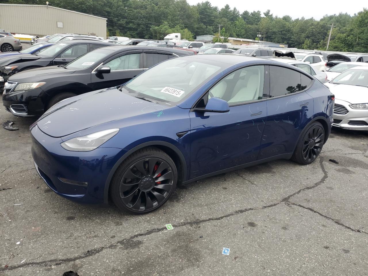 2023 Tesla Model y