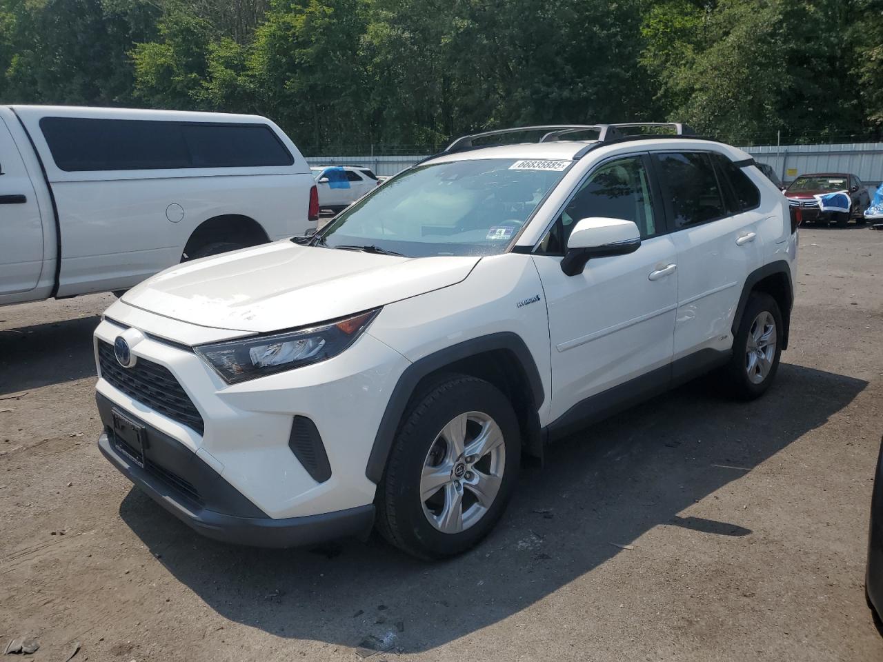 2019 Toyota Rav4 le LE