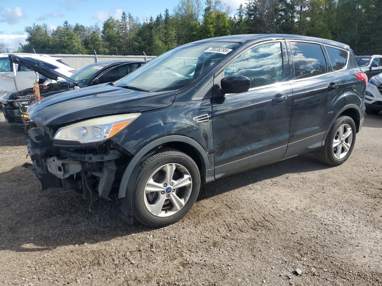 2013 Ford Escape se SE