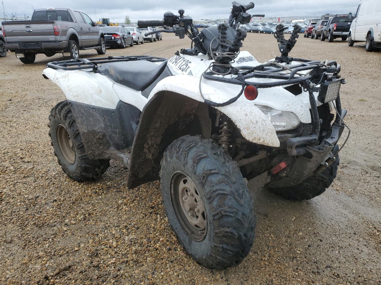 2009 Honda Trx420 pg