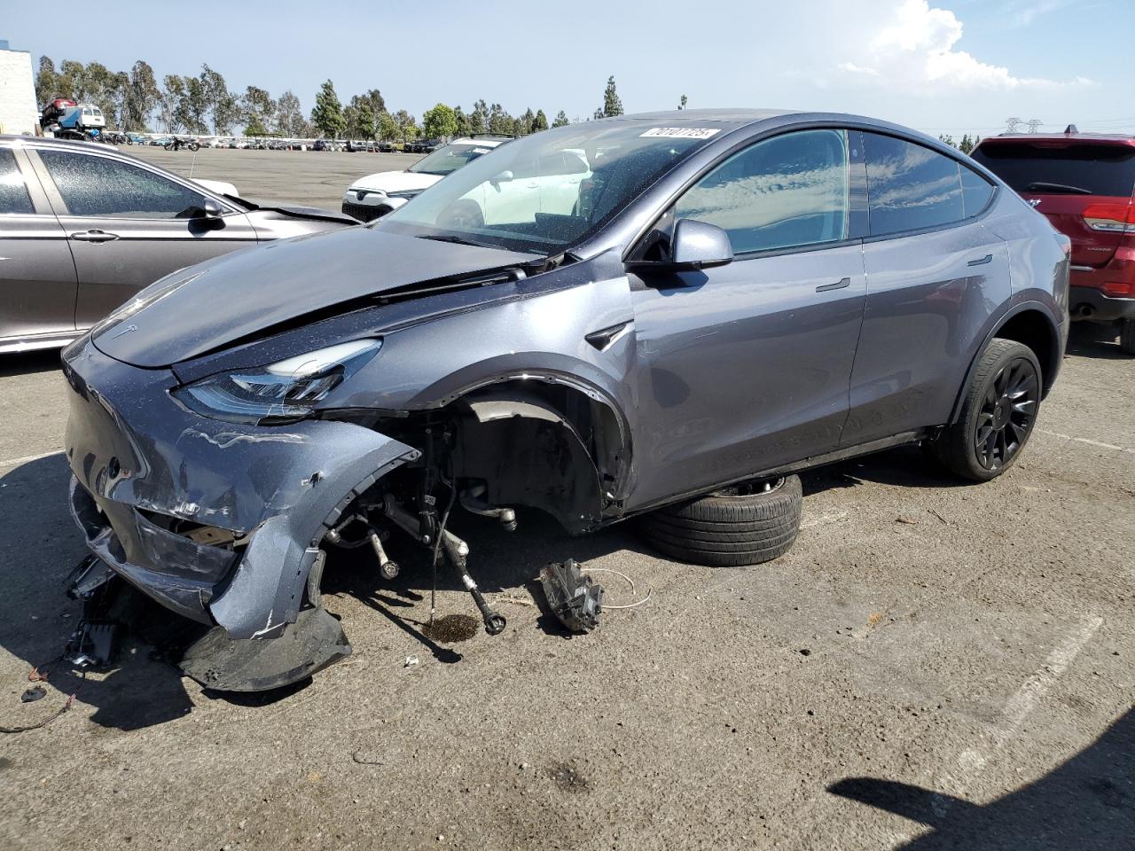 2023 Tesla Model y